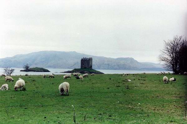 Castle Stalker